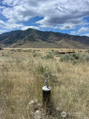 $225,000 | 0 Lot 1 Bill Shaw Road, Pateros, WA 98846