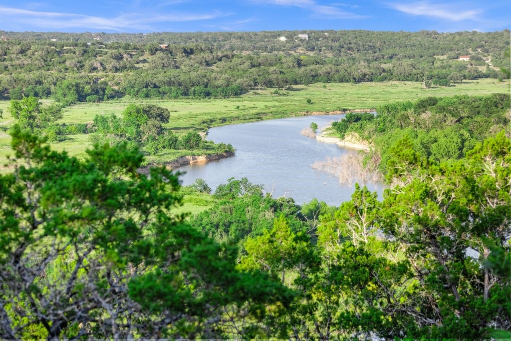 2101 Tower Road Georgetown, TX 78628 - Photo 1 of 38 a view of a lush green forest with trees and houses