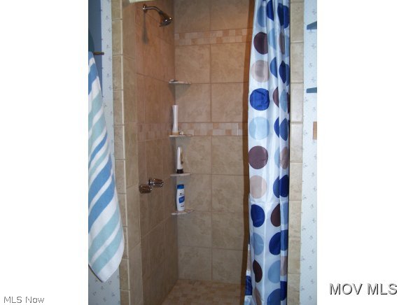 2866 Charleston Road Spencer, WV 25276 - Photo 12 of 24 Handicapped shower