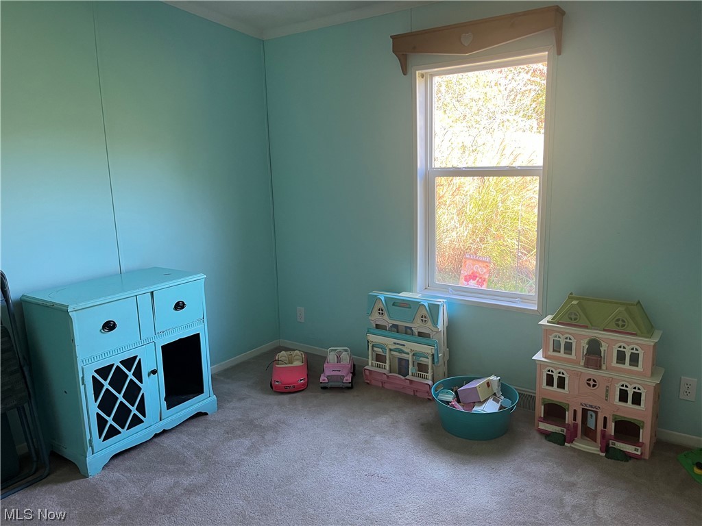 2885 Virginia Ridge Road Philo, OH 43771 - Photo 12 of 23 Game room with light colored carpet and ornamental molding
