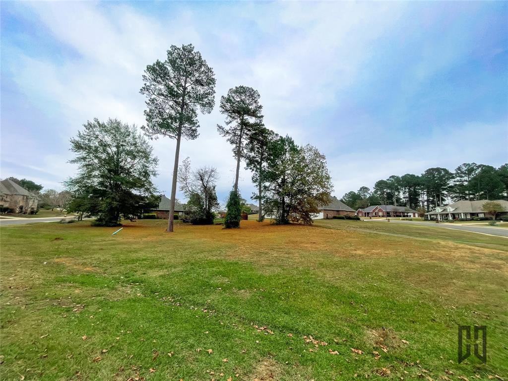 100 Laurel Circle Minden, LA 71055 - Photo 2 of 8 a view of an ocean and trees in the background