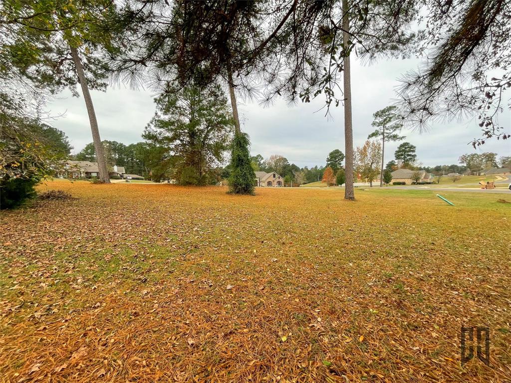 100 Laurel Circle Minden, LA 71055 - Photo 5 of 8 a view of an ocean