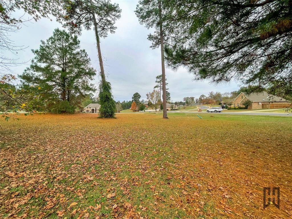 100 Laurel Circle Minden, LA 71055 - Photo 6 of 8 a view of an ocean with a large mountain