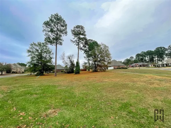 a view of a field of grass and trees