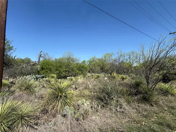 a view of a field
