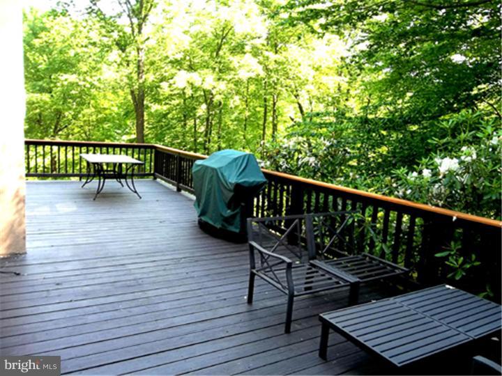 114 Anthonys Mill Road Barto, PA 19504 - Photo 23 of 25 Gallery Image 23
