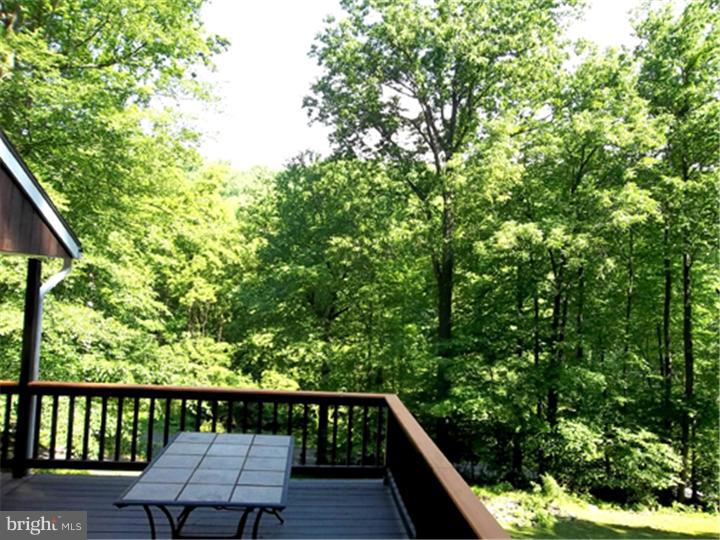 114 Anthonys Mill Road Barto, PA 19504 - Photo 24 of 25 Gallery Image 24