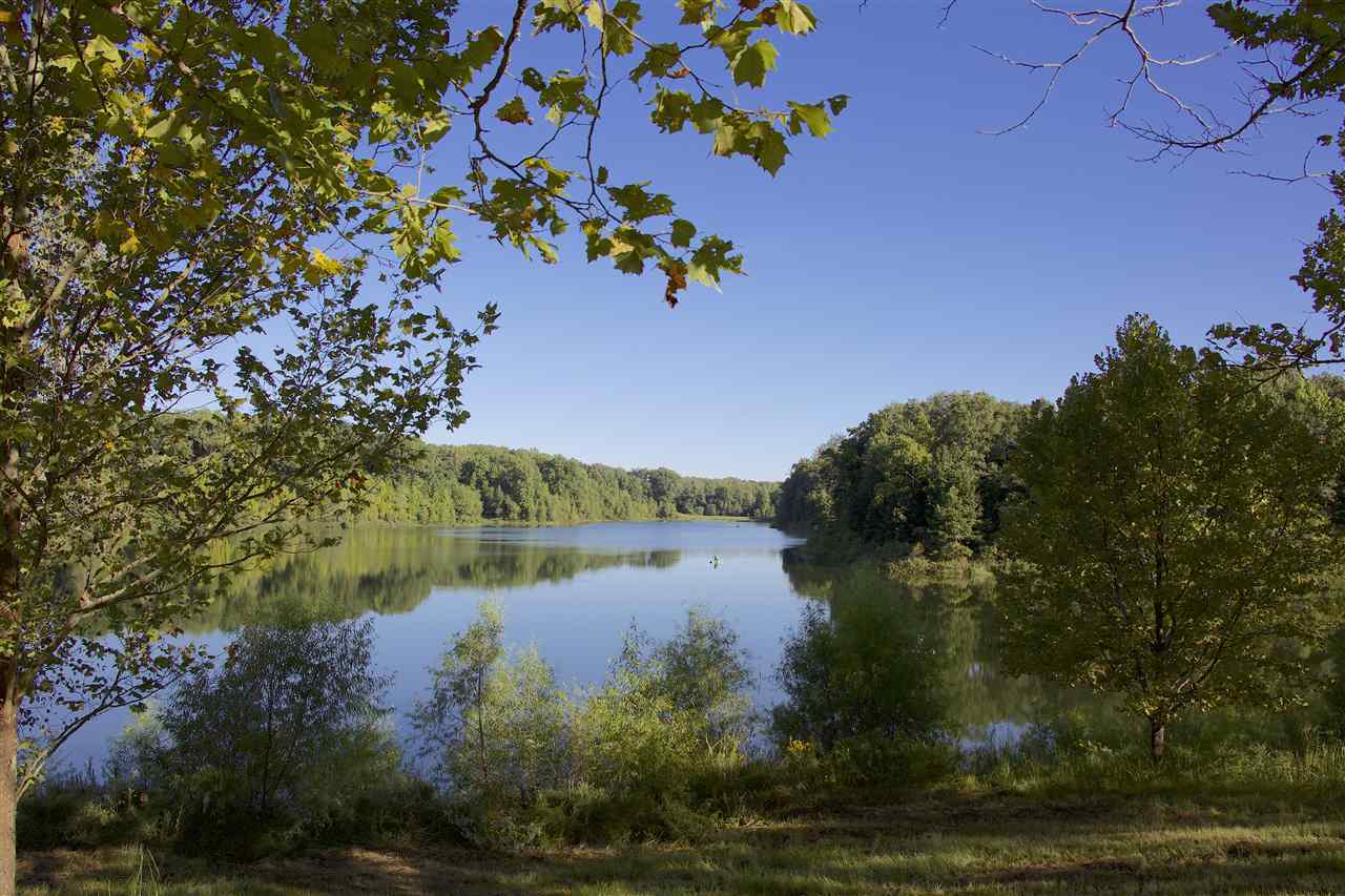 4785 Williams Road Hernando, MS 38632 - Photo 22 of 25 a view of lake