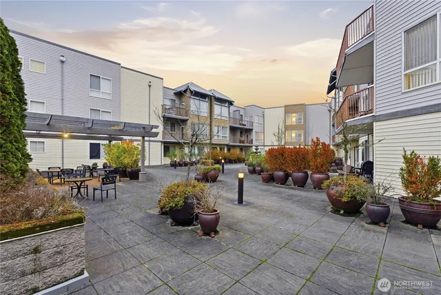 a view of a chairs and tables in the back yard of the house