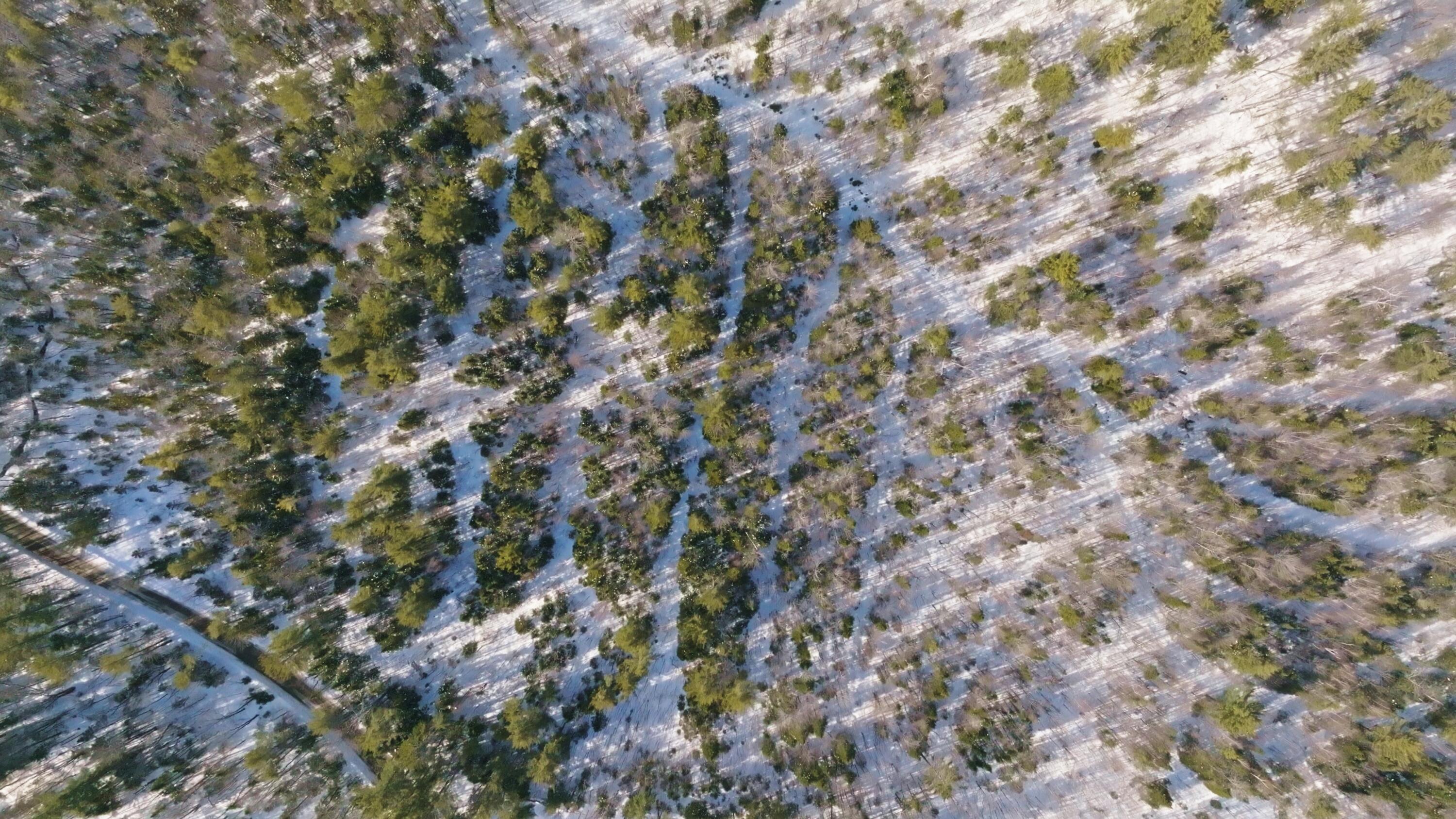 Lot 41 Redding Road Sumner, ME 04292 - Photo 19 of 22 Image_1.8.1