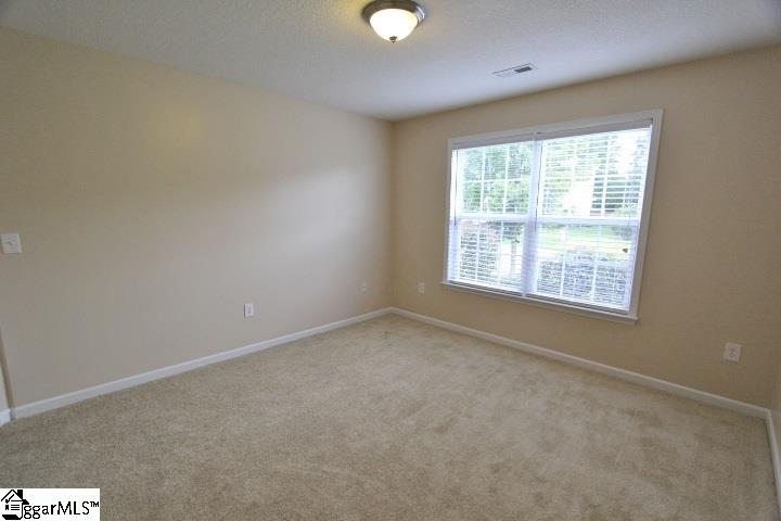 8 Tigris Way Greenville, SC 29607 - Photo 27 of 36 Gallery Image 27