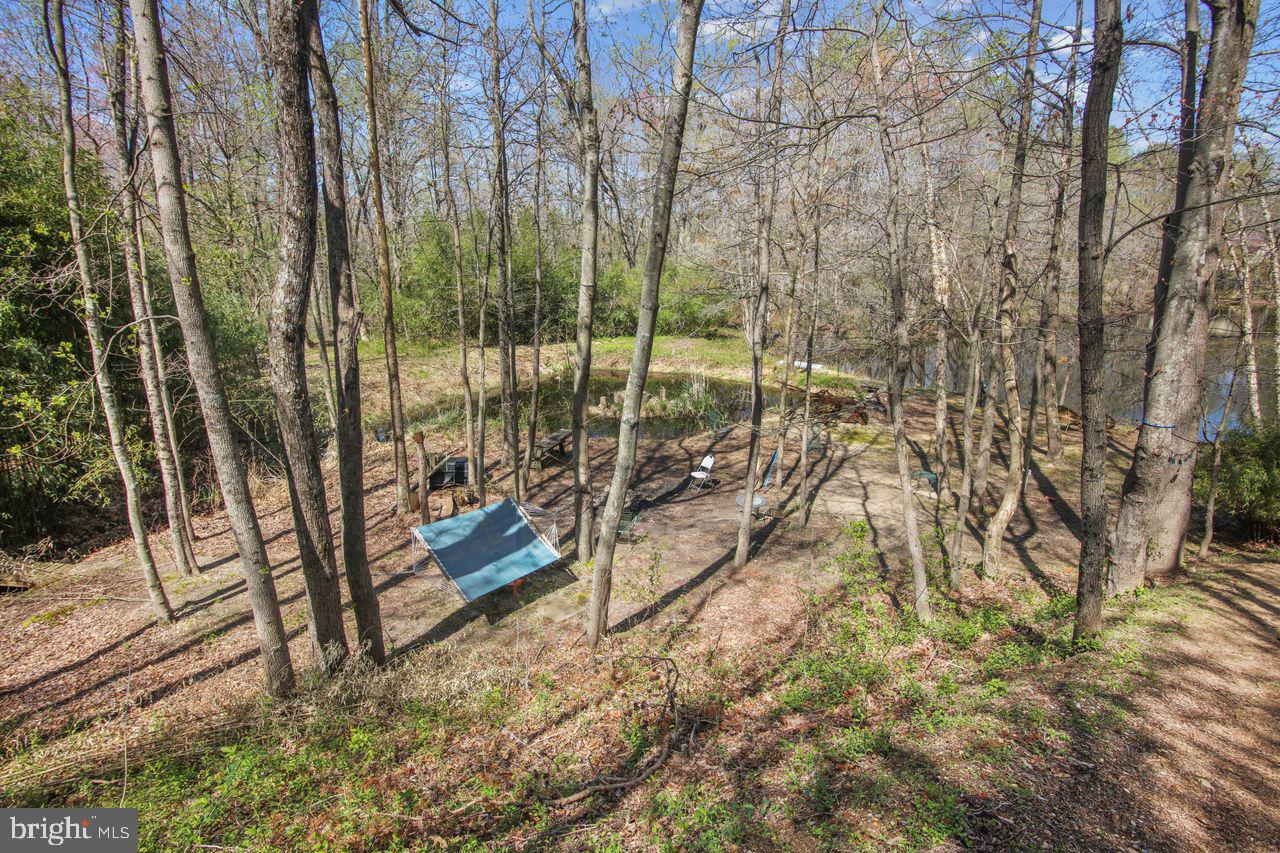 1753 Governor Bridge Road Davidsonville, MD 21035 - Photo 31 of 78 View Of Lower Area