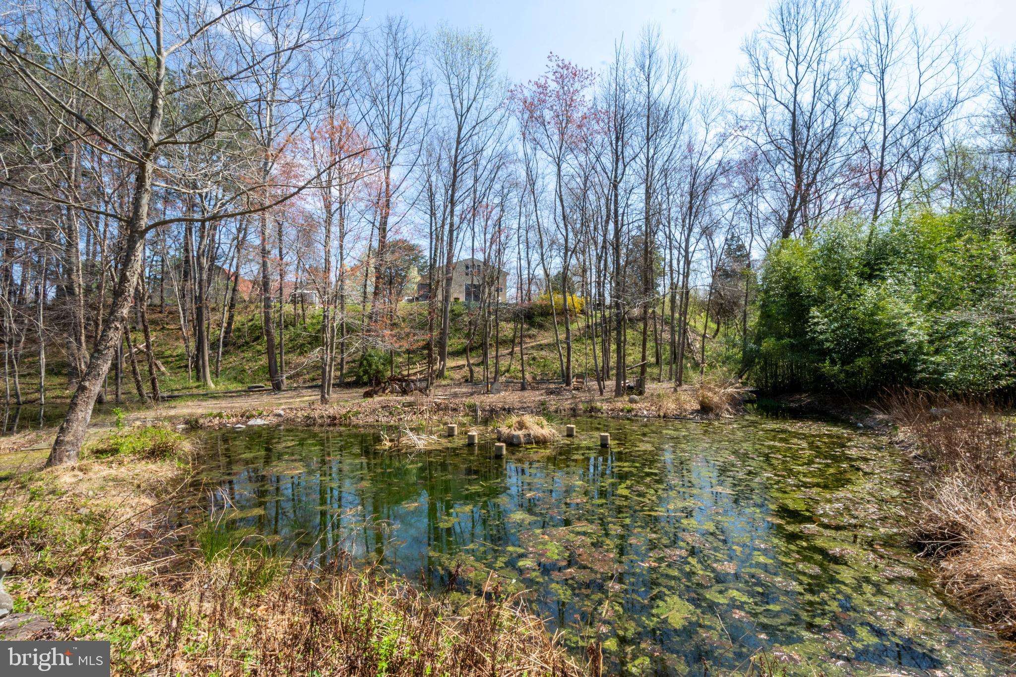 1753 Governor Bridge Road Davidsonville, MD 21035 - Photo 44 of 78 Spring Fed Pond