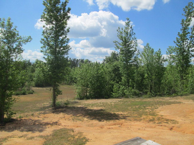 6277 Luckeys Bridge Road Dearing, GA 30808 - Photo 18 of 21