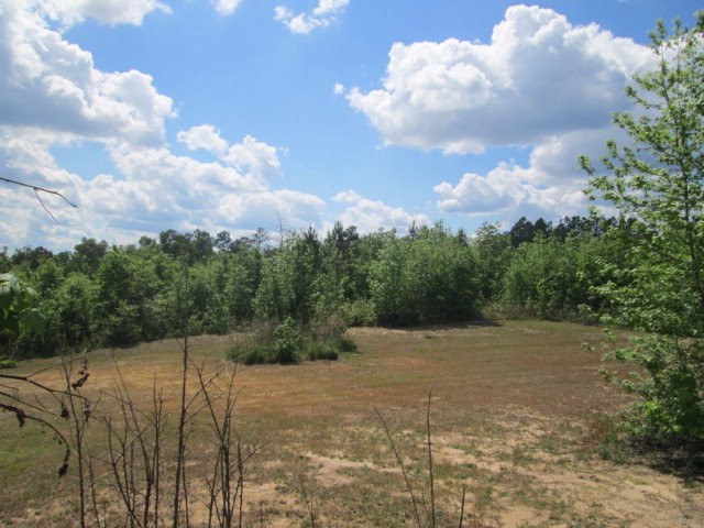 6277 Luckeys Bridge Road Dearing, GA 30808 - Photo 21 of 21