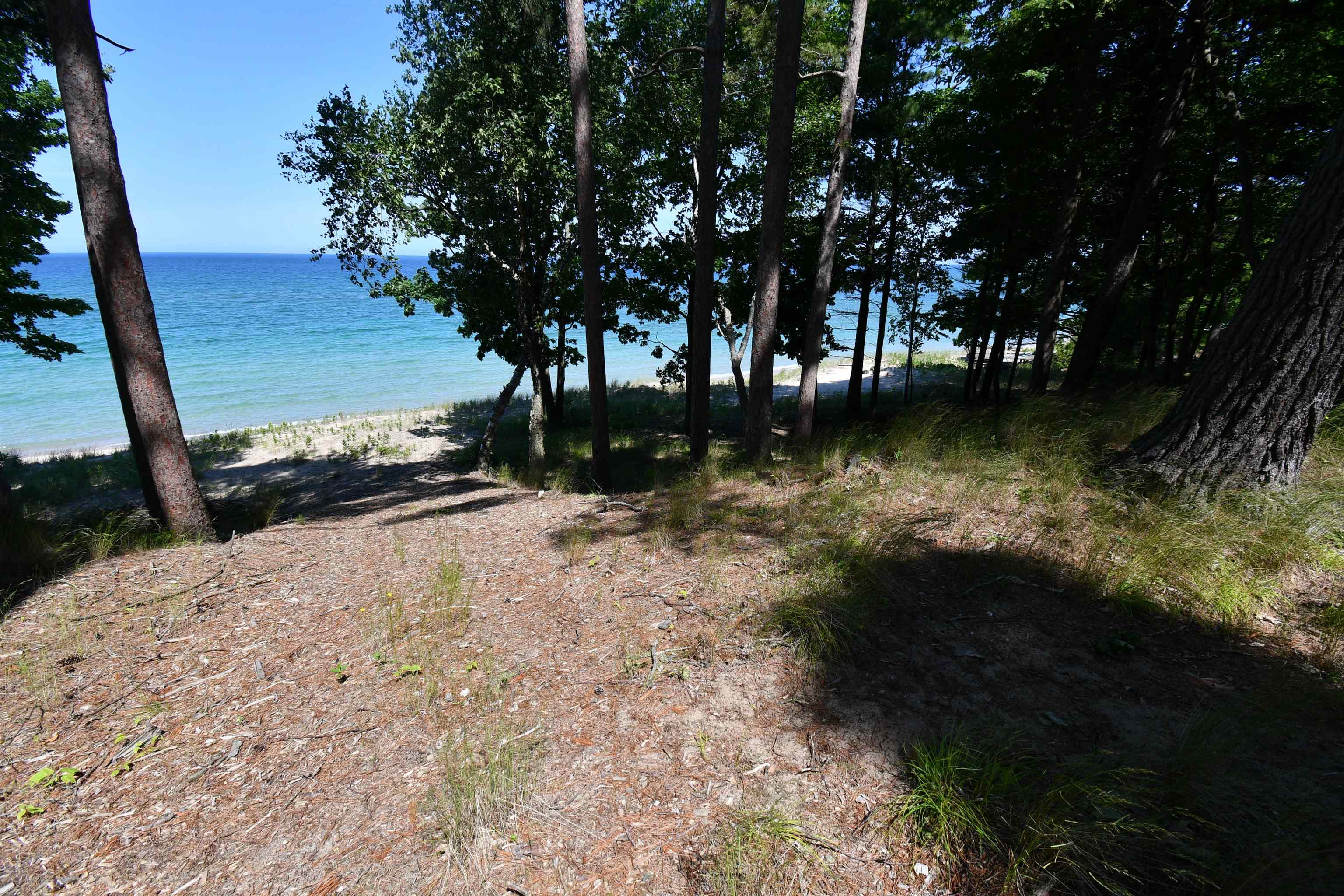 0 Mt McSauba Road Charlevoix, MI 49720 - Photo 12 of 33