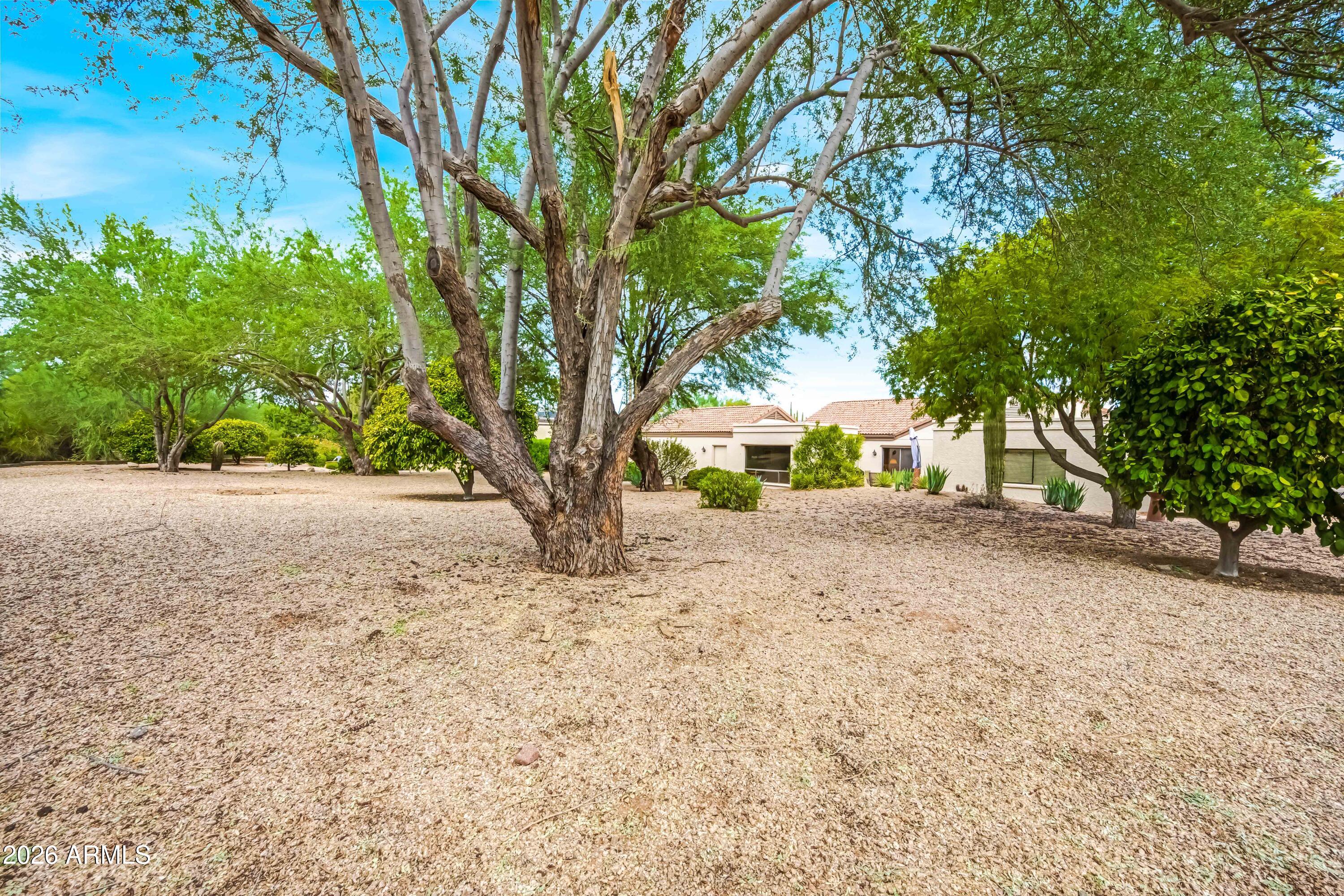 26628 North Avenida Del Ray Rio Verde, AZ 85263 - Photo 39 of 54 Back Yard