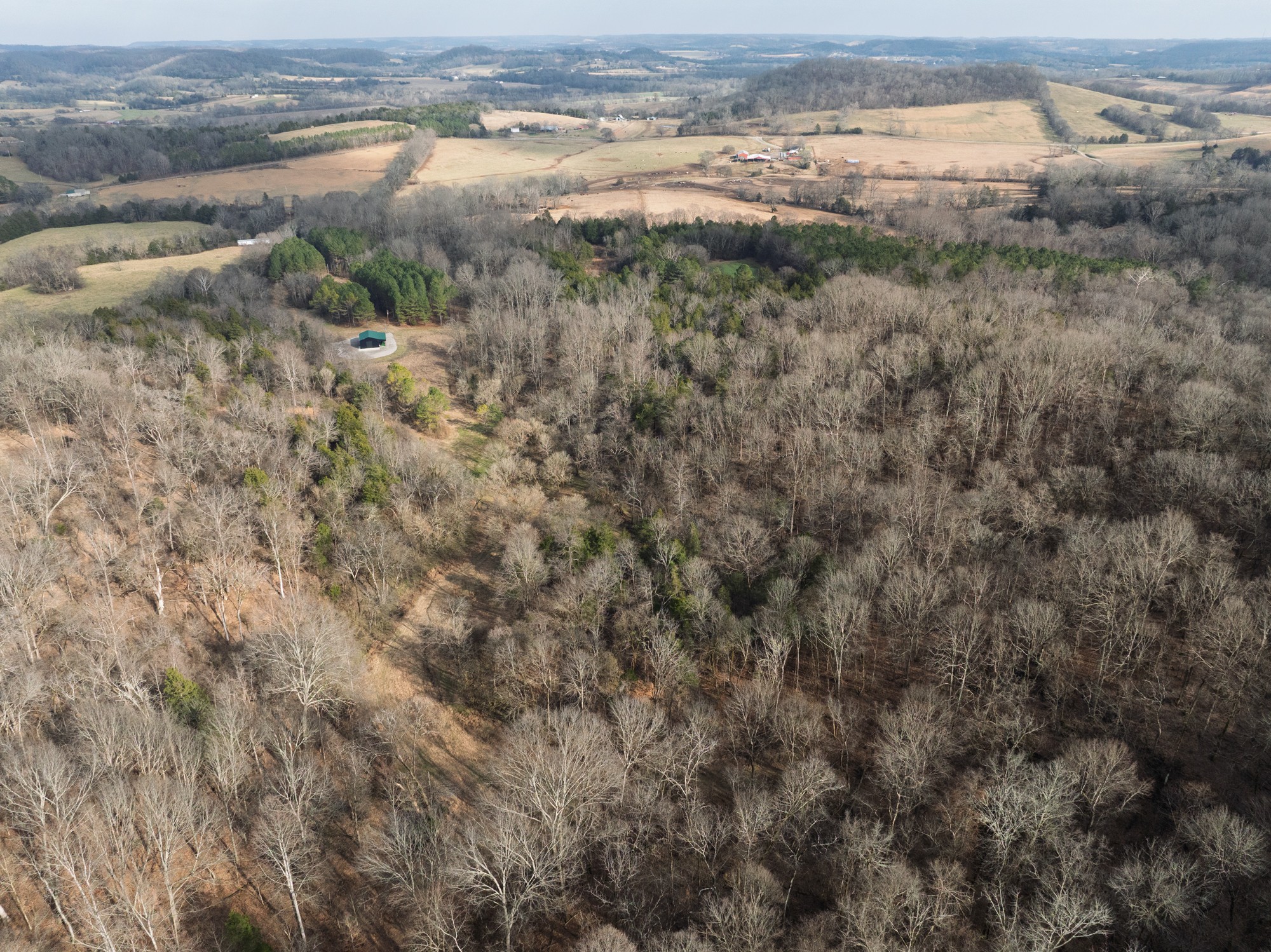 680 Morrell Road Pulaski, TN 38478 - Photo 16 of 71 Gallery Image 16