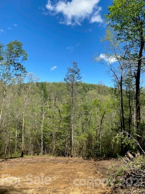 3 B Dragon Tail Drive, Unit 3B Brevard, NC 28712 - Photo 5 of 6 a view of a yard with a house