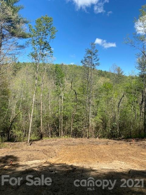 3 B Dragon Tail Drive, Unit 3B Brevard, NC 28712 - Photo 6 of 6 a view of a backyard of the house