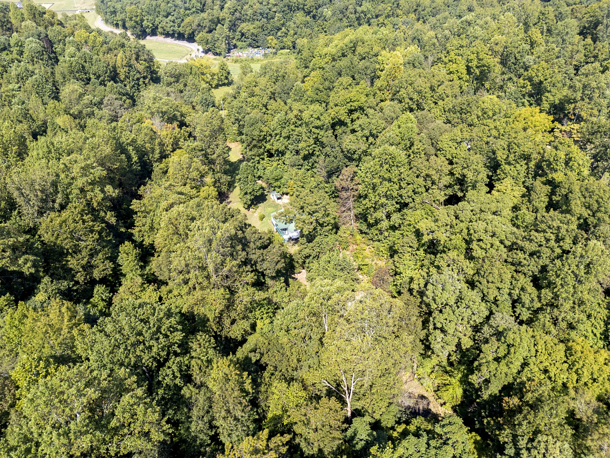 87 Ballard Hollow Road Taft, TN 38488 - Photo 3 of 29