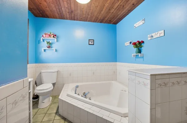 a bathroom with a bath tub and a toilet