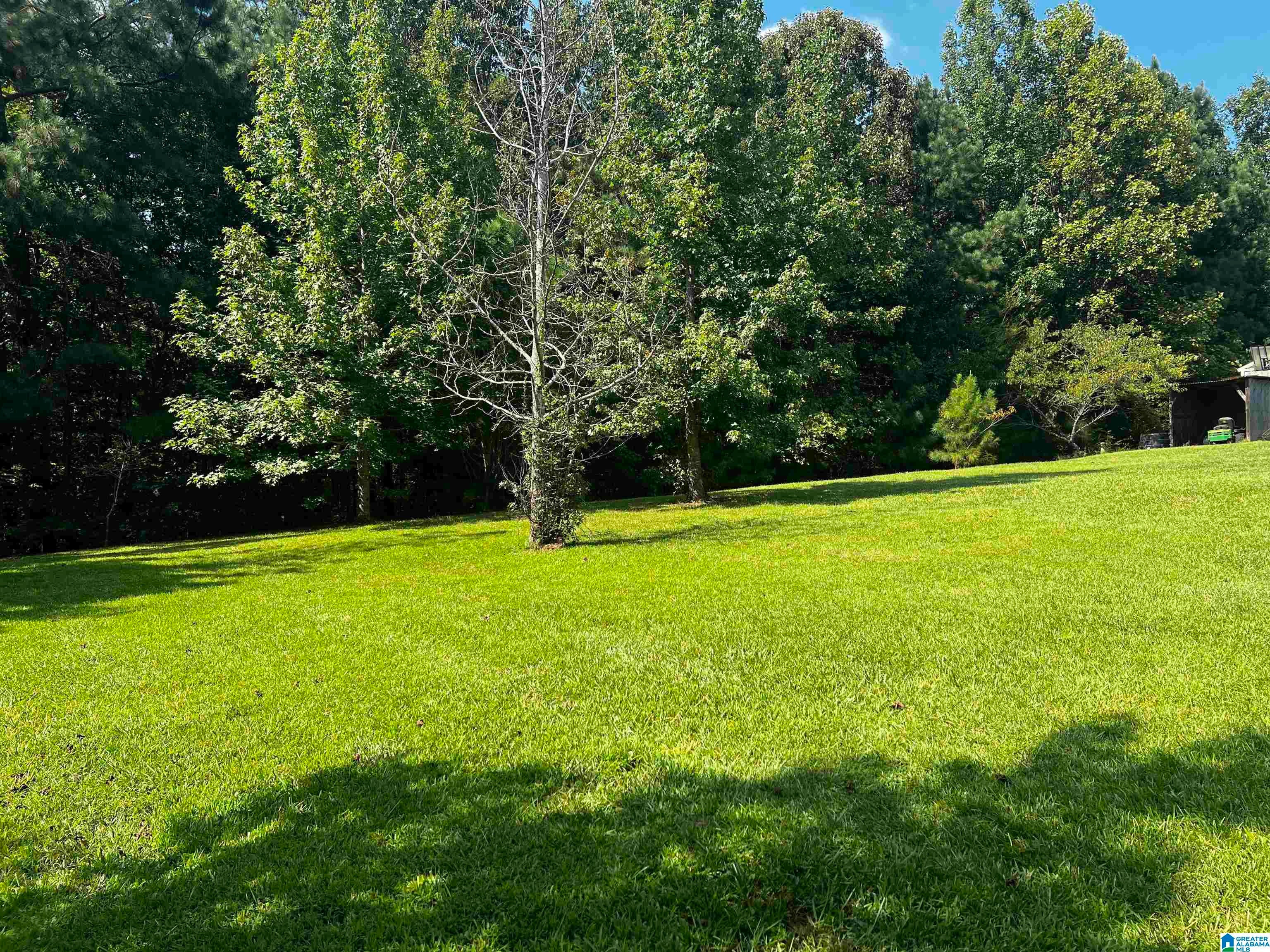 93 Valley Ridge Odenville, AL 35120 - Photo 3 of 27 Gallery Image 3