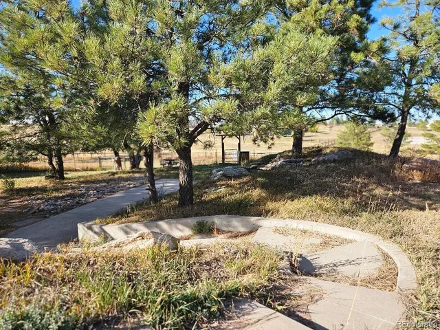 a view of a backyard with large trees