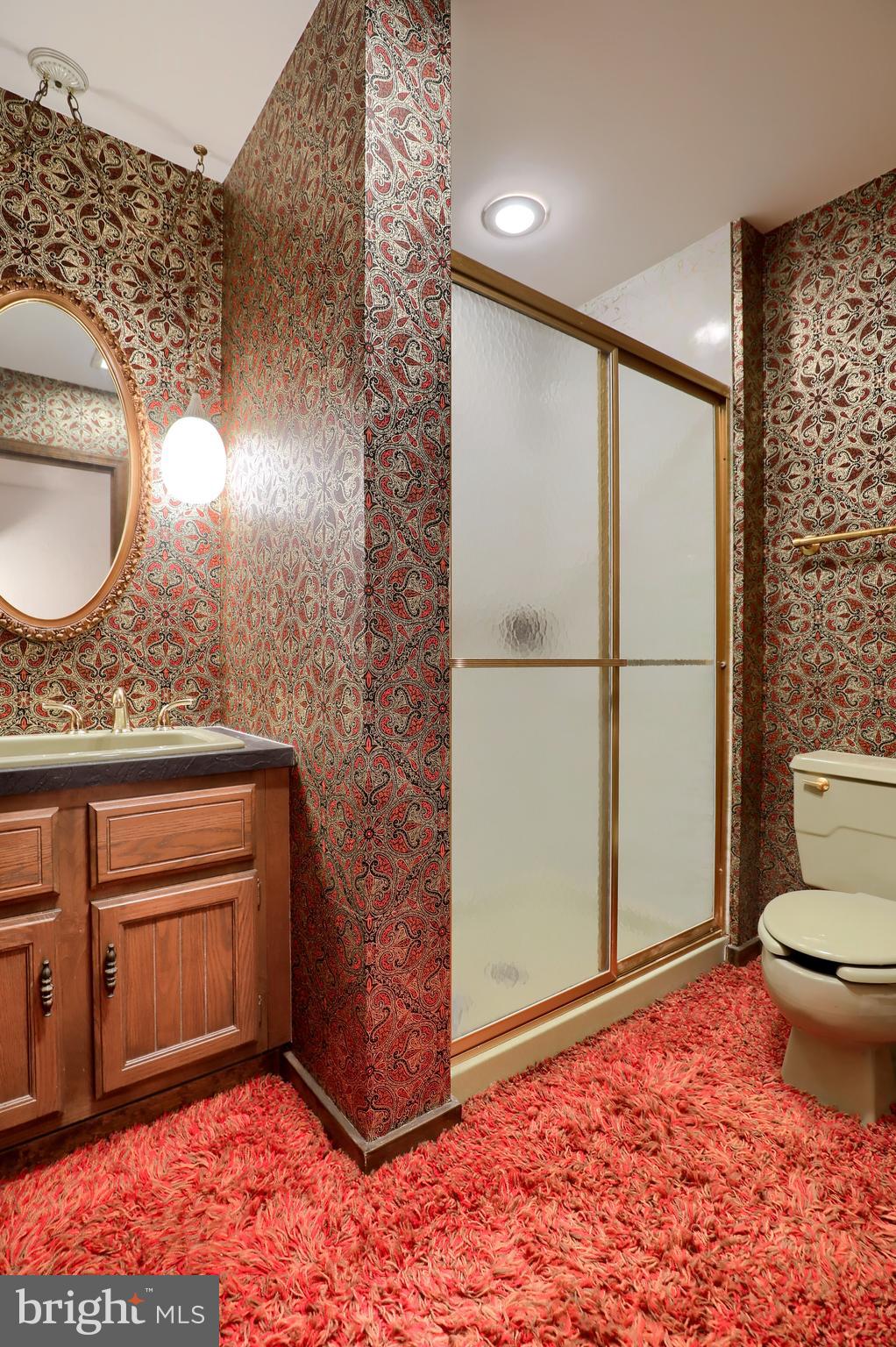620 South Spruce Street Lititz, PA 17543 - Photo 41 of 57 a view of a bathroom with a sink and a mirror