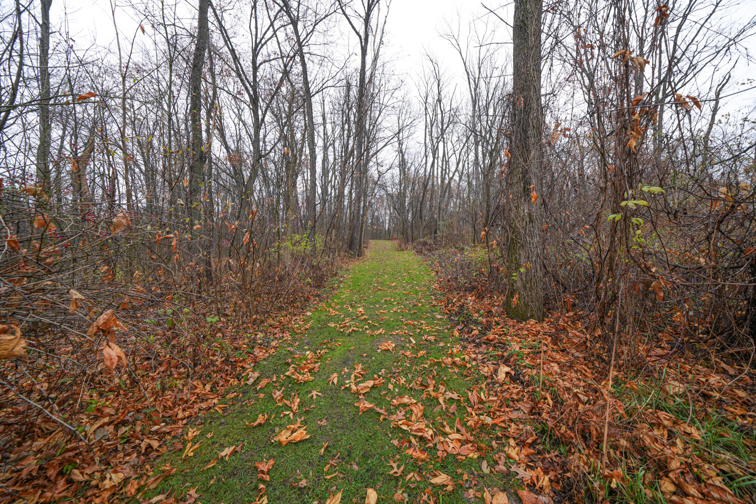 6440 Denton Hill Road Fenton, MI 48430 - Photo 45 of 72 2023_Fenton_026