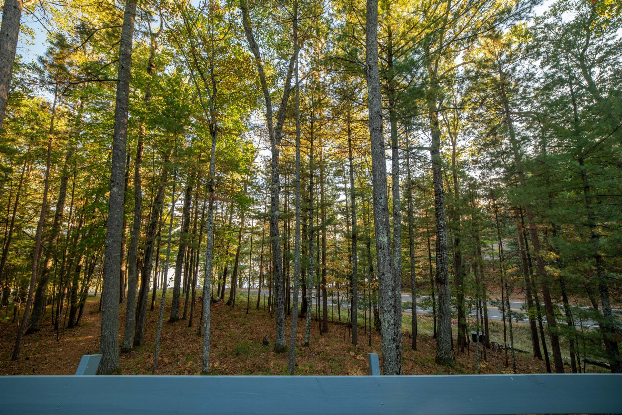 6886 Military Road Three Lakes, WI 54562 - Photo 28 of 52 Gallery Image 28