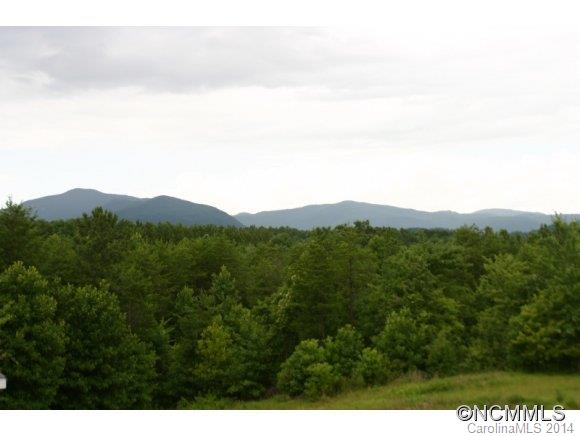 1298 Grassy Knob Road Rutherfordton, NC 28139 - Photo 2 of 18 a view of a city with lush green forest