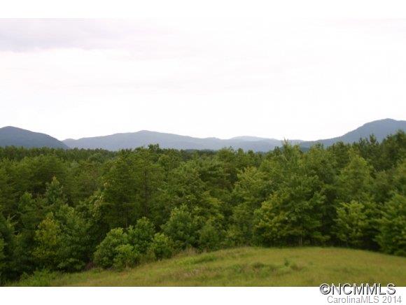 1298 Grassy Knob Road Rutherfordton, NC 28139 - Photo 18 of 18 a view of a green field