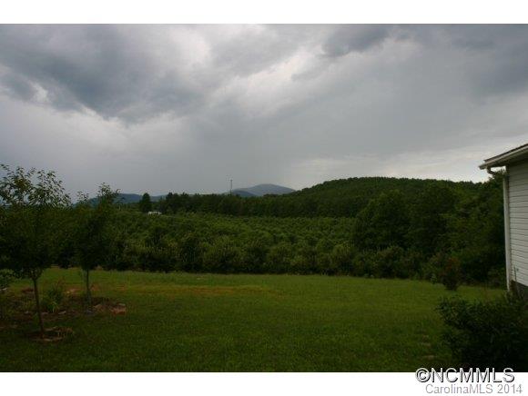 1298 Grassy Knob Road Rutherfordton, NC 28139 - Photo 4 of 18 a view of outdoor space and yard