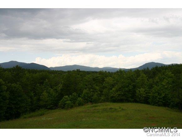 1298 Grassy Knob Road Rutherfordton, NC 28139 - Photo 6 of 18 a view of a yard and mountain