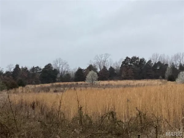 $300,000 | 0 Nardoni Dr Union, Union, MO 63084