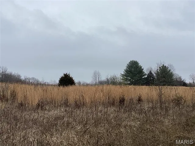 $300,000 | 0 Nardoni Dr Union, Union, MO 63084