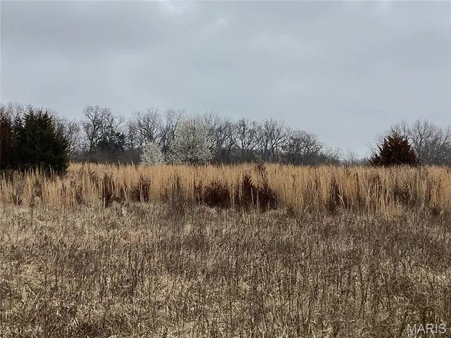 $300,000 | 0 Nardoni Dr Union, Union, MO 63084