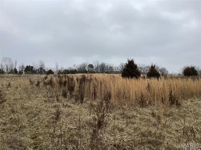 $300,000 | 0 Nardoni Dr Union, Union, MO 63084