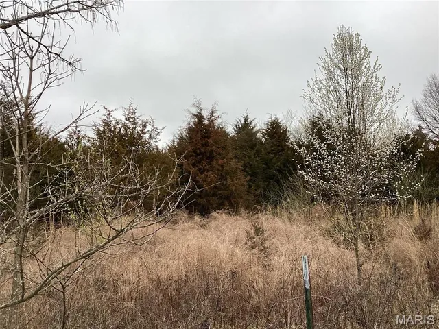 $300,000 | 0 Nardoni Dr Union, Union, MO 63084