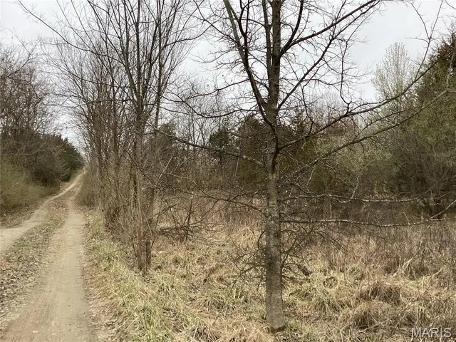 $300,000 | 0 Nardoni Dr Union, Union, MO 63084