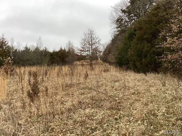 $300,000 | 0 Nardoni Dr Union, Union, MO 63084