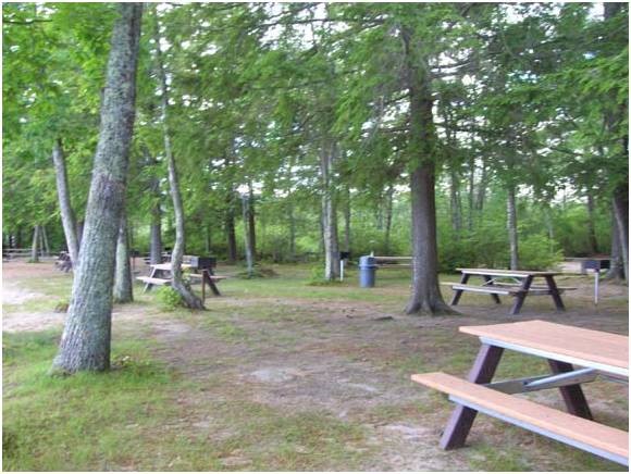 Lot 4 George Road Hebron, NH 03241 - Photo 12 of 14
