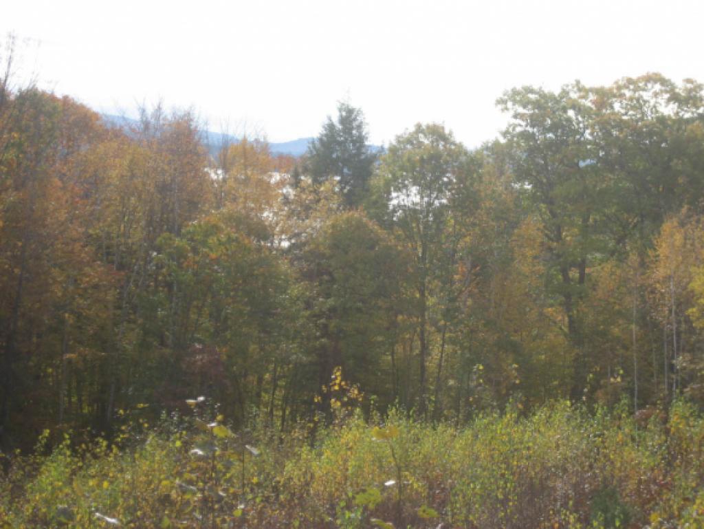 Lot 4 George Road Hebron, NH 03241 - Photo 3 of 14