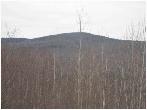 Lot 4 George Road Hebron, NH 03241 - Photo 5 of 14