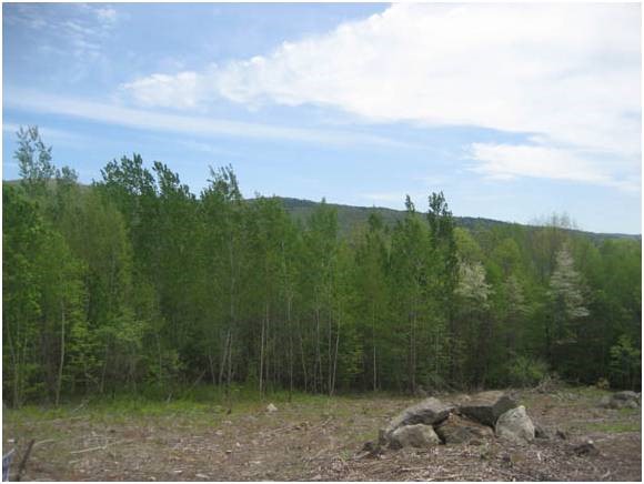 Lot 4 George Road Hebron, NH 03241 - Photo 6 of 14