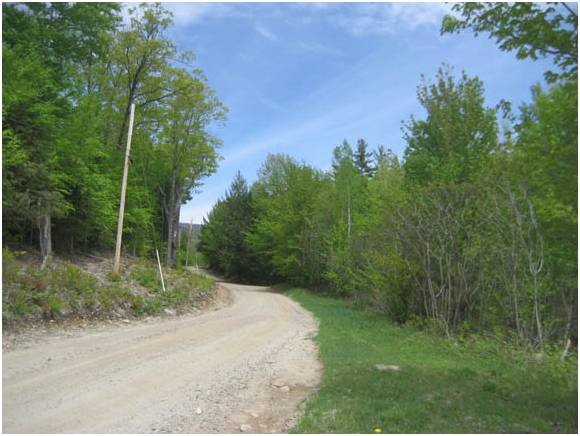 Lot 4 George Road Hebron, NH 03241 - Photo 8 of 14