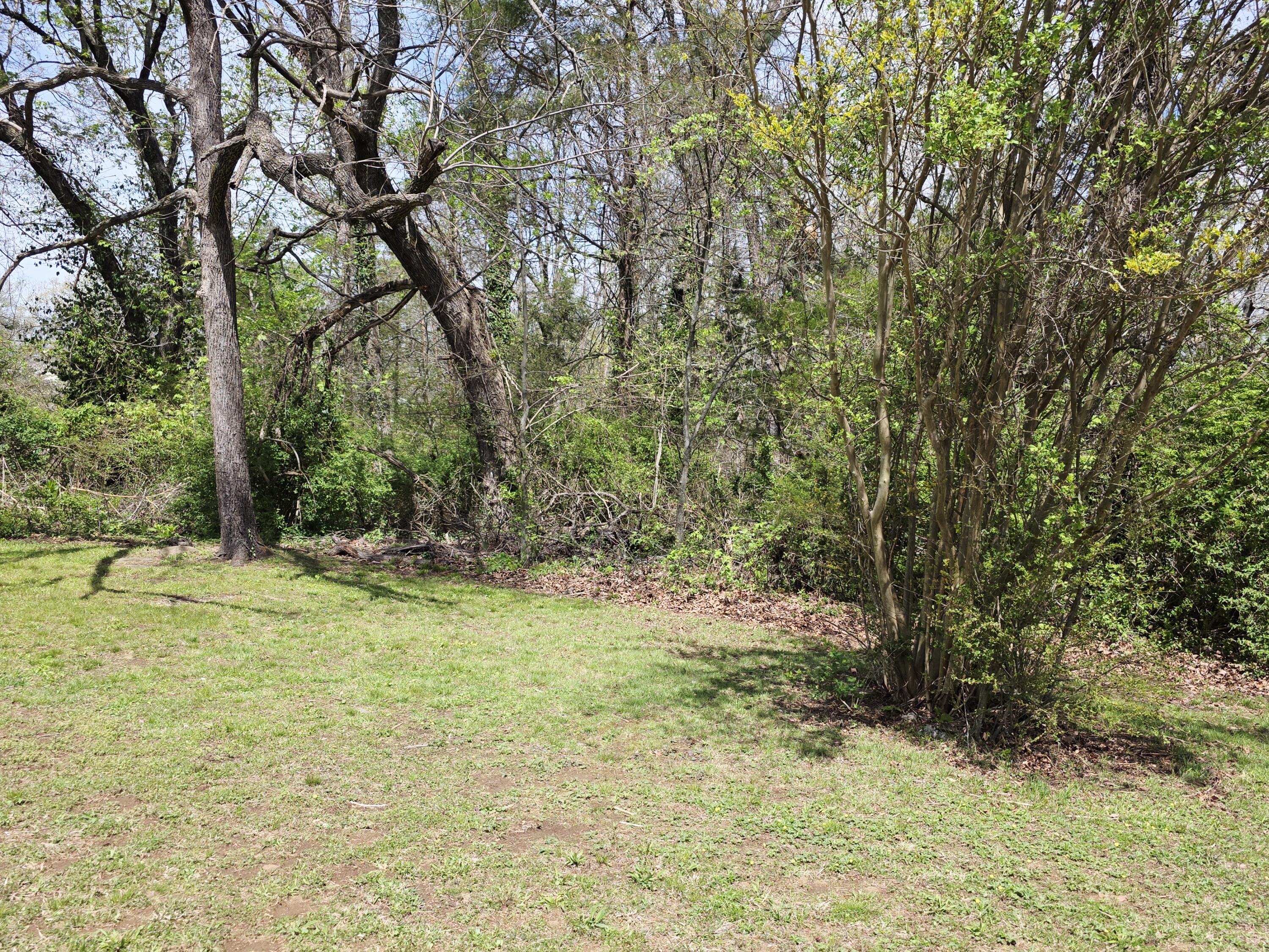 1503 Hollister Road Signal Mountain, TN 37377 - Photo 5 of 54 20260406_143021 II