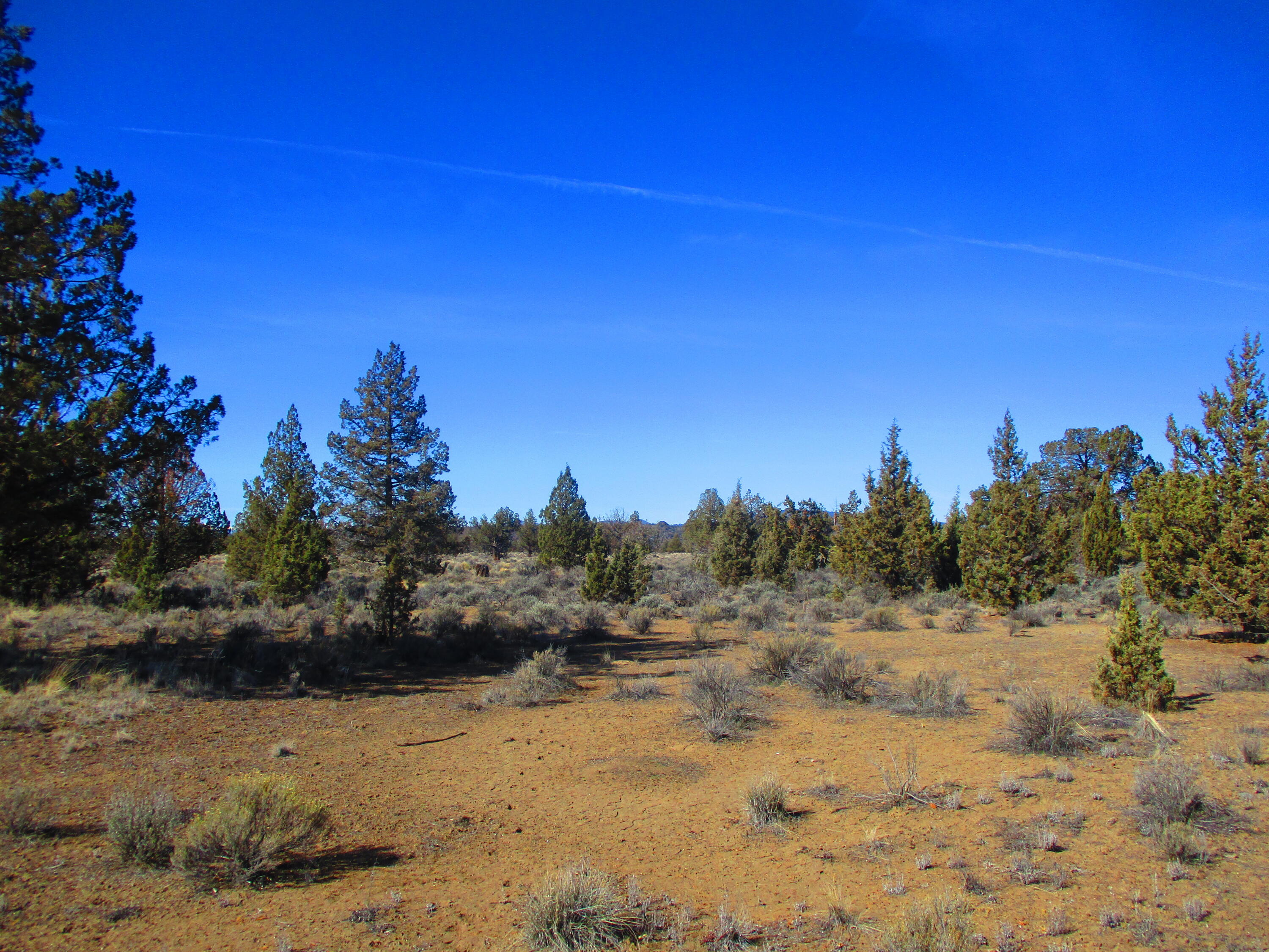 Tl1700 Southeast Mohawk Road Prineville, OR 97754 - Photo 11 of 21 12