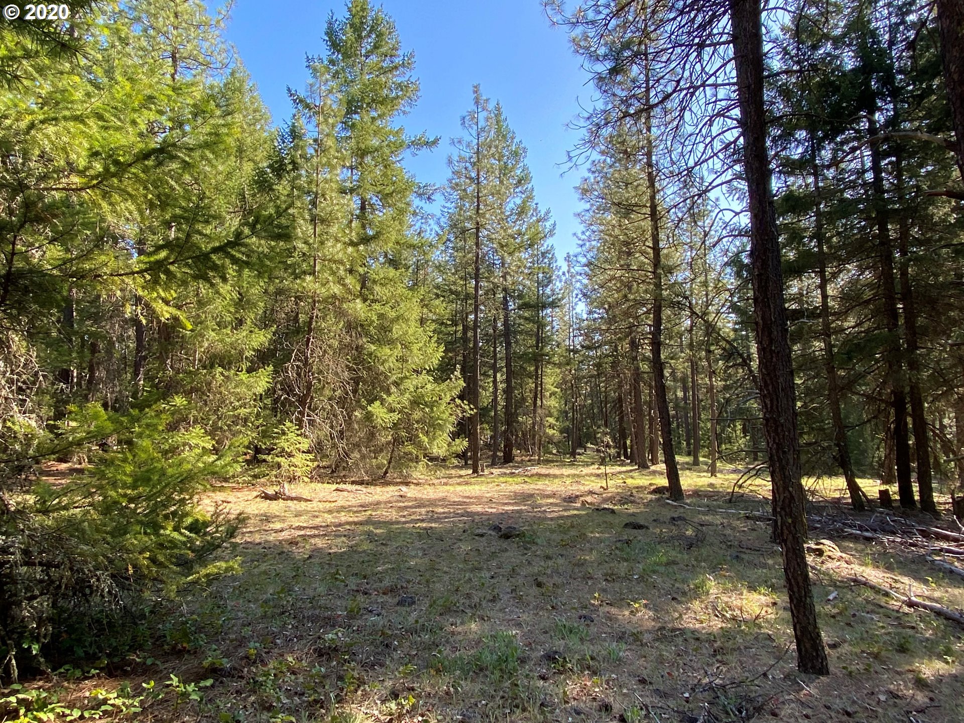 718 Boss Road Goldendale, WA 98620 - Photo 2 of 11 Gallery Image 2